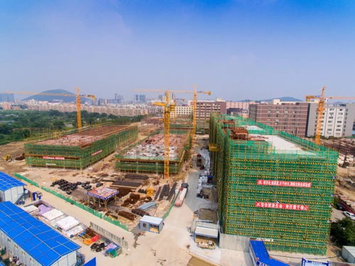 聚焦村改年底总攻丨顺德村改实践 全省瞩目聚焦