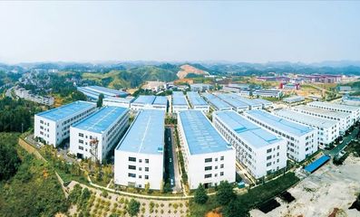 大龙开发区:聚力新型工业化 推动工业大突破