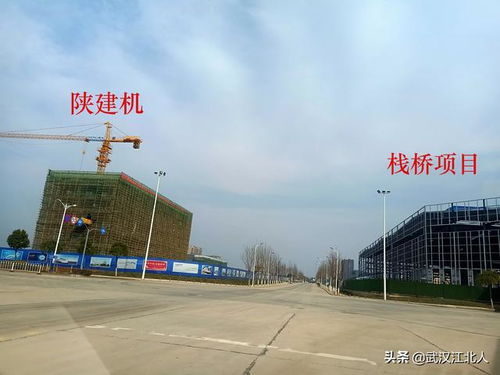 开工近一年后,黄陂的这个工业园区发展如何,大企业多吗