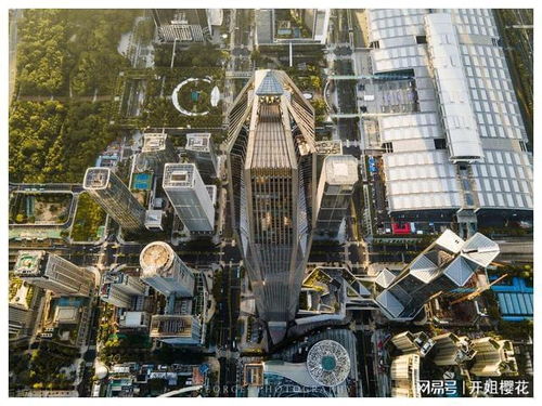 工业园区的引领潜能还剩多少,苏州工业区的示范效应