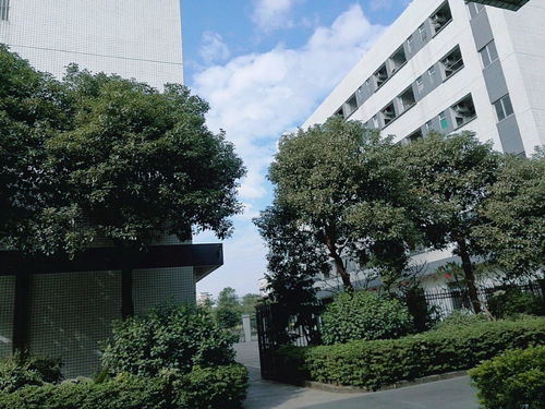 化工 中工招商网
